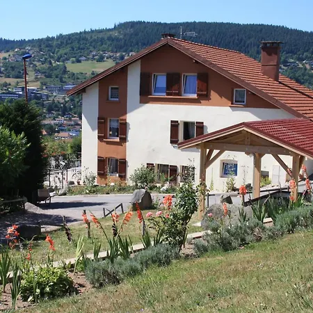 Lejlighed Convivial A Gerardmer, 35 M² Avec Vue Sur La Montagne
