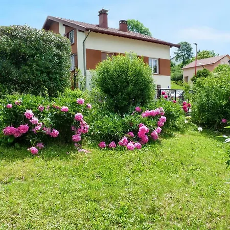 Convivial A Gerardmer, 35 M² Avec Vue Sur La Montagne Gérardmer
