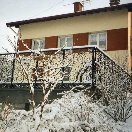 Appartement Convivial A Gerardmer, 35 M² Avec Vue Sur La Montagne