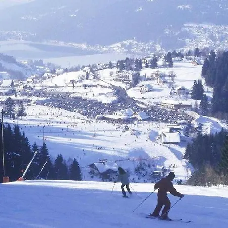 Convivial A Gerardmer, 35 M² Avec Vue Sur La Montagne * Gérardmer