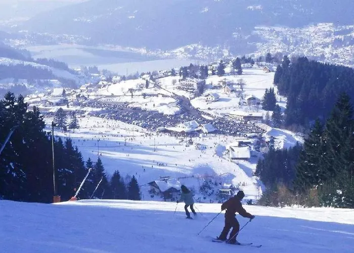 Convivial A Gerardmer, 35 M² Avec Vue Sur La Montagne