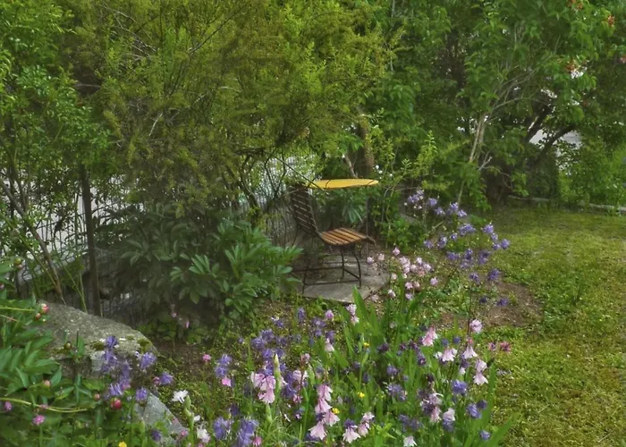 Apartmán Convivial A Gerardmer, 35 M² Avec Vue Sur La Montagne Gérardmer