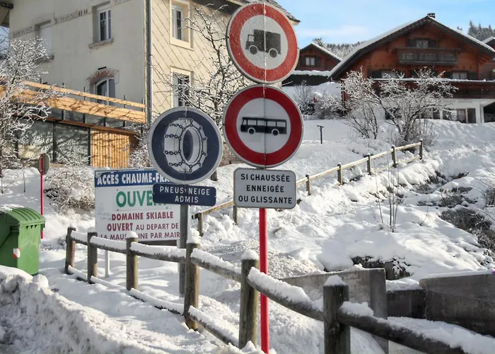 Convivial A Gerardmer, 35 M² Avec Vue Sur La Montagne